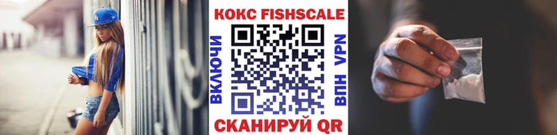 Купить закладки  Кондопога  COCAIN FishScale 